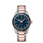 Omega Seamaster 300 Master Co-Axial Titane et or Sedna sur titane et or Sedna 233.60.41.21.03.001